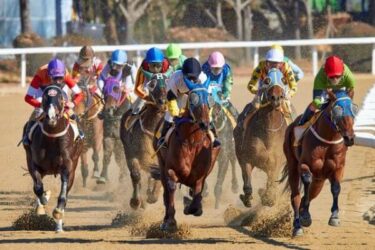 6/27限定マカオ競馬騎手田中マサカズさんインタビュー企画
